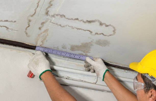 Reliable Mold Remediation contractor in Colorado City, TX by Water Damage Irwin